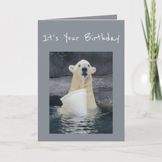 Carte Seau d'ours blanc d'anniversaire d'humour (Devant)