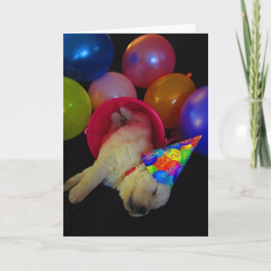 Carte Seau Lucy (Devant)