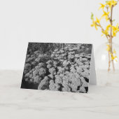 Carte Sedum Automne Joy (Fleur jaune)