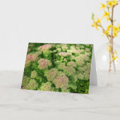 Carte Sedum Automne Joy (Fleur jaune)