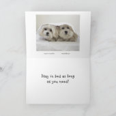 Carte Séjour dans le lit (Intérieur)