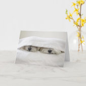 Carte Séjour dans le lit (Fleur jaune)