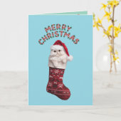 Carte Séjour de Noël de Kitty Perse (Fleur jaune)