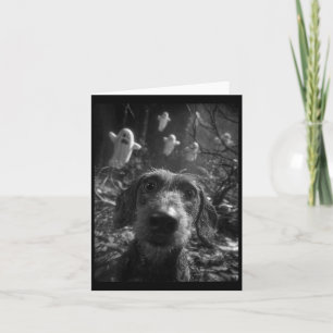 Carte Selfie de femme avec des dachshunds avec des fantô