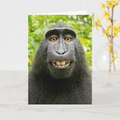 Carte Selfie de singe (Fleur jaune)