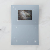 Carte Semences 4 demain (Intérieur)