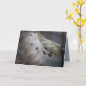 Carte Semences 4 demain (Fleur jaune)