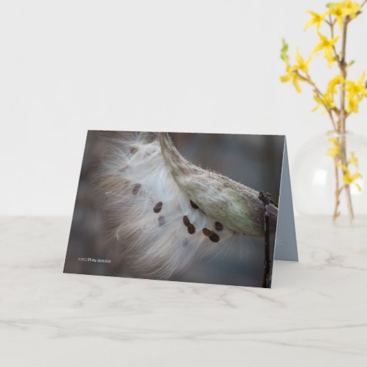 Carte Semences 4 demain (Fleur jaune)