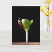 Carte Semis de pomme avec coquille de graines (Fleur jaune)