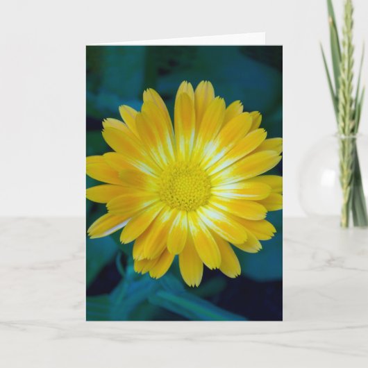 Carte Send Flower to your friends that lasts. (Devant)