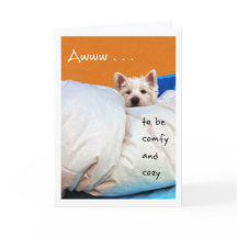 Sensation mieux, confortable et confortable chien