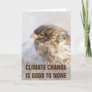 Carte Sensibilisation au changement climatique