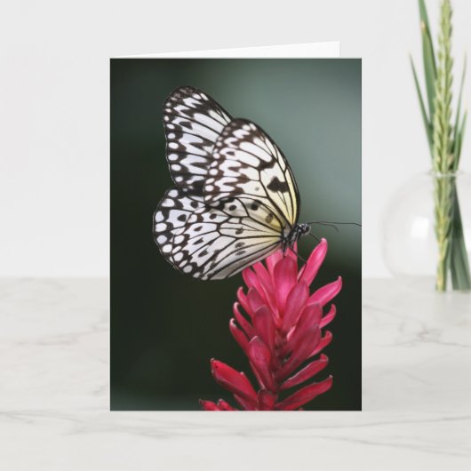 Carte Sensible (Devant)