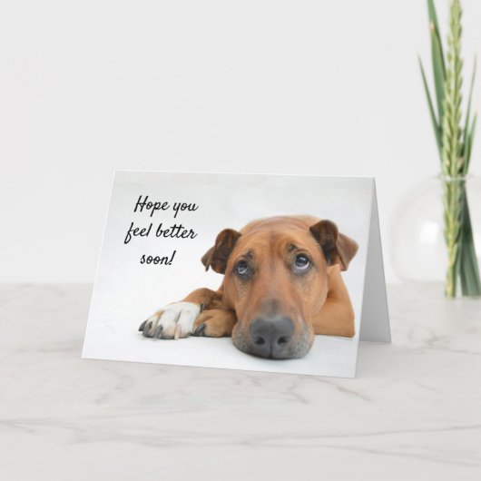 Carte Sentez-vous mieux bientôt Sad Dog Get Well Card (Devant)