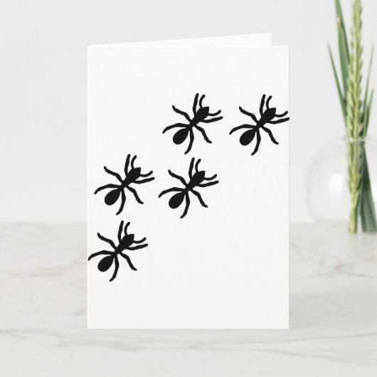 Carte sentier de la fourmi noire (Devant)