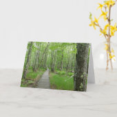 Carte Sentier de planches Jesup Path (Fleur jaune)
