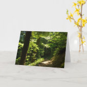 Carte Sentier de Silver Falls (Fleur jaune)