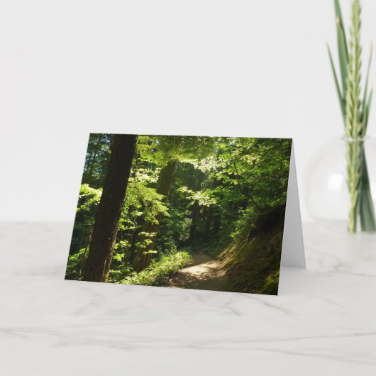 Carte Sentier depuis Silver Falls (Devant)