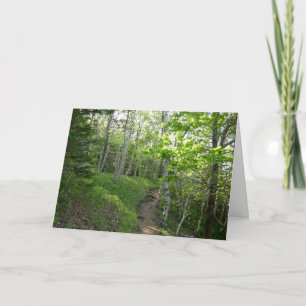 Carte Sentier forestier au parc national d'Acadia