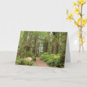 Carte Sentier Karl Knapp (Fleur jaune)