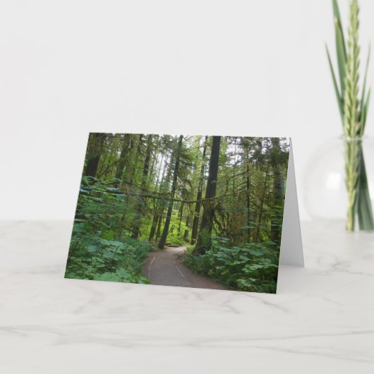 Carte Sentier pour Marymere Falls I (Devant)