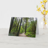 Carte Sentier vers Marymere Falls II (Fleur jaune)