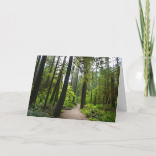 Carte Sentier vers Marymere Falls II