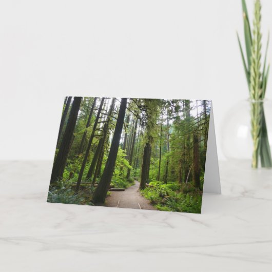 Carte Sentier vers Marymere Falls II (Devant)