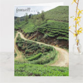 Carte sentiers d'adieu grand (Fleur jaune)