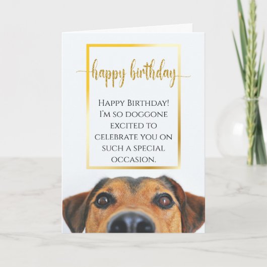 Carte Sentimental Chien drôle Anniversaire Épic Nouveau (Devant)