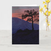 Carte Sentinelle de coucher du soleil (Fleur jaune)