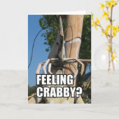 CARTE SENTIR LE CRABBY ? MEME (Fleur jaune)