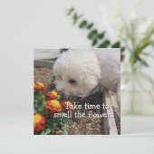 Carte Sentir les Fleurs (Debout devant)
