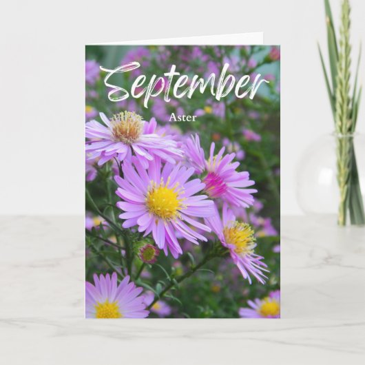 Carte Septembre Purple Yellow Aster Naissance Mois Anniv (Devant)