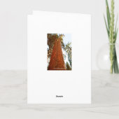 Carte Séquoia de couple fidèle, Yosemite (Dos)