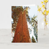 Carte Séquoia de couple fidèle, Yosemite (Fleur jaune)