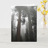 Carte Séquoia géantes dans le brouillard, CA (Fleur jaune)