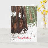 Carte Sequoia Joyeux voeux de Noël (Fleur jaune)