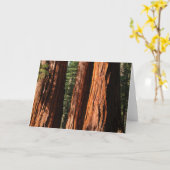 Carte Séquoias géants (Fleur jaune)