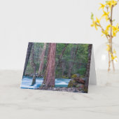 Carte Sequoias & Merced River Yosemite National Park, CA (Fleur jaune)