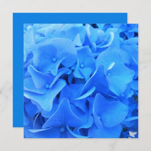 Carte Sérapine (Devant / Derrière)