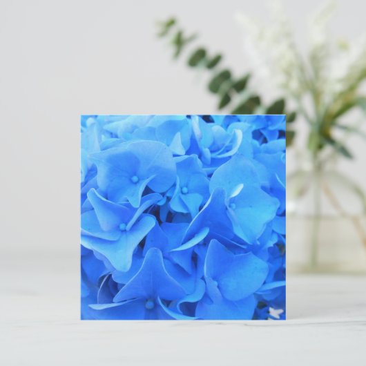 Carte Sérapine (Debout devant)