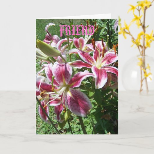 Carte Serargazer Lilies/Ami (Fleur jaune)