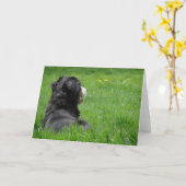 Carte Serena au soleil (Fleur jaune)