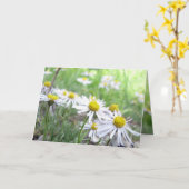 Carte Série alpine (Fleur jaune)