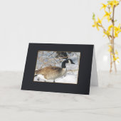 Carte série d'oiseau (Fleur jaune)