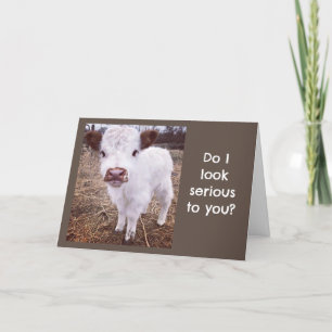 CARTE SERIOUS/CUTE VACHE DIT "HEUREUX ANNIVERSAIRE"