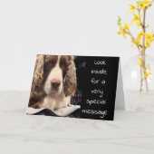 CARTE SERIOUS DOG DIT "REGARDEZ À L'INTÉRIEUR" DÉSIRS D' (Fleur jaune)