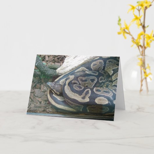 Carte Serpent de boa (Fleur jaune)