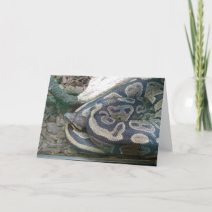 Carte Serpent de boa